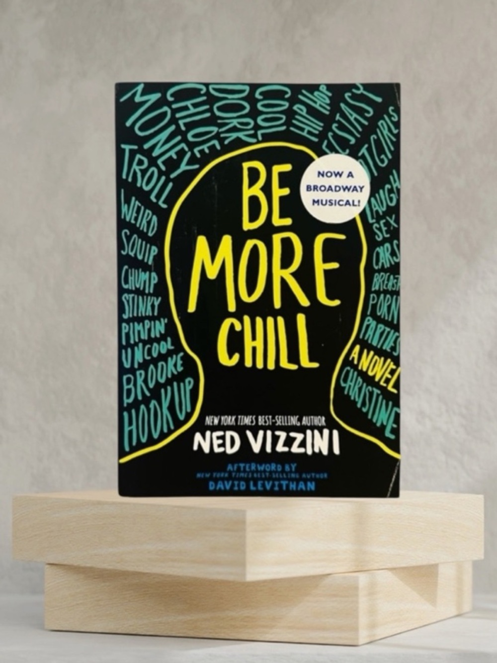 Be More Chill Book by Ned Vizzini